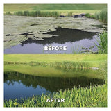 Kasco MZ8 Macro Zyme Muck Powder Pond Probiotics Enzyme 8oz Water Soluble Bag