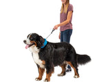 Nite Ize RRLXL-03-R3 RadDog 36” Extra Large Blue All-in-One Collar and Leash